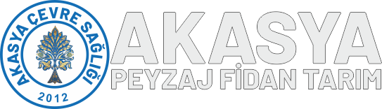 AKASYA  PEYZAJ FİDAN TARIM